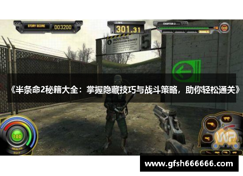 《半条命2秘籍大全：掌握隐藏技巧与战斗策略，助你轻松通关》